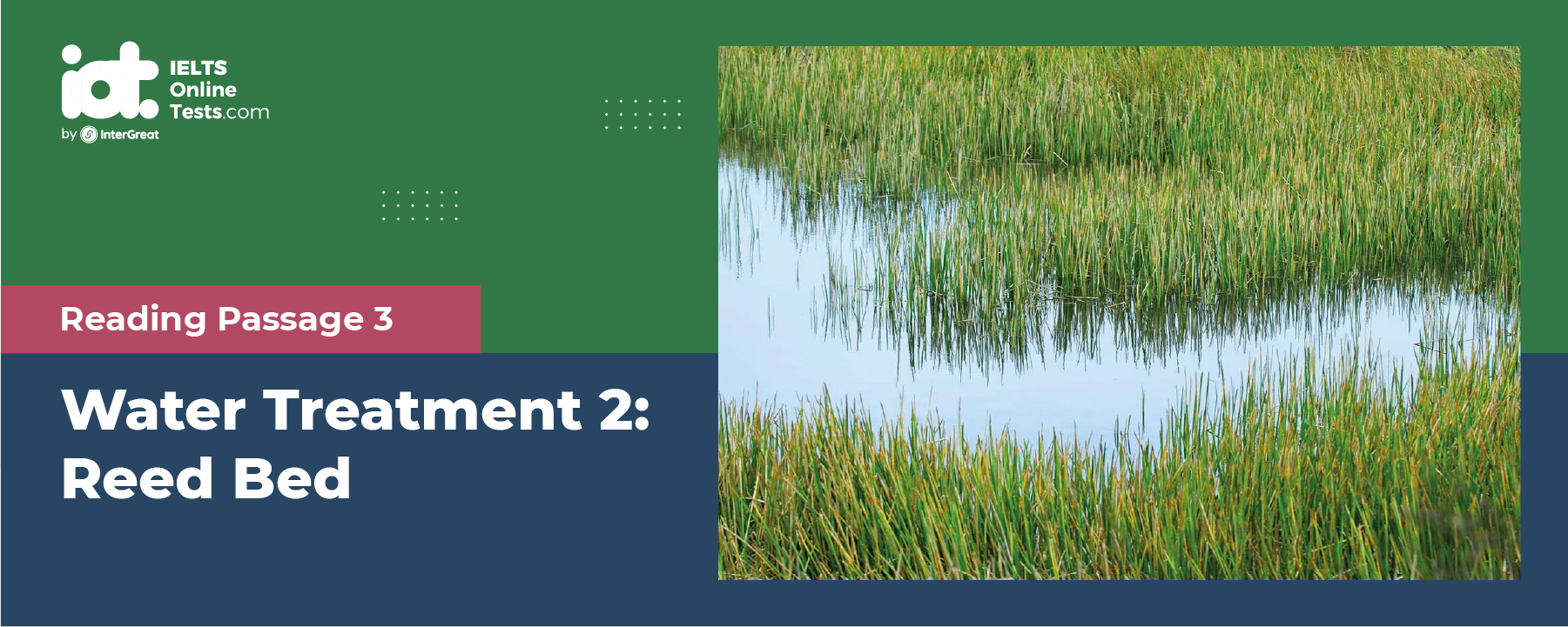 IELTS Mock Test 2023 October Reading Practice Test 4